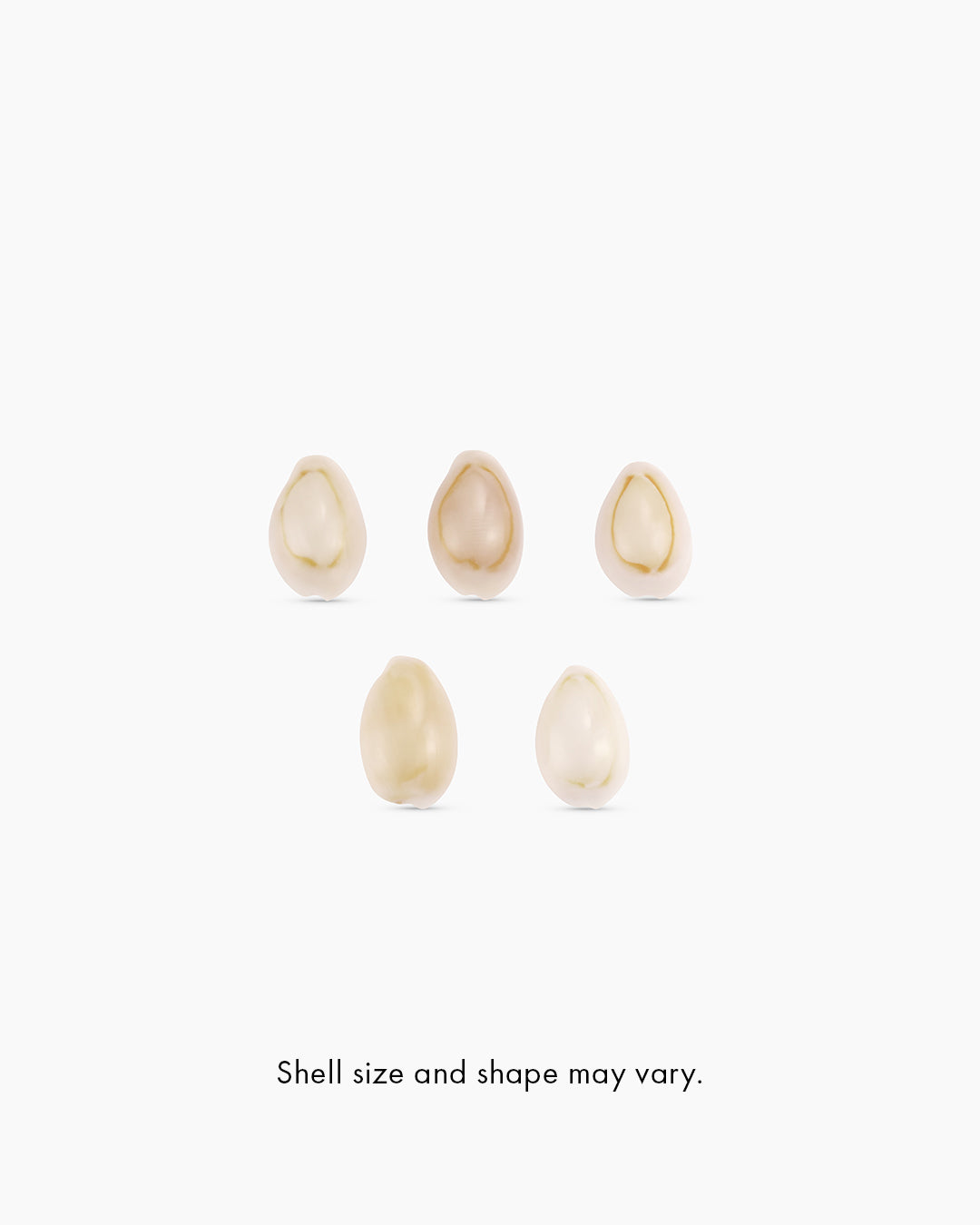 Harbor Shell Necklace || option::18k Gold Plated