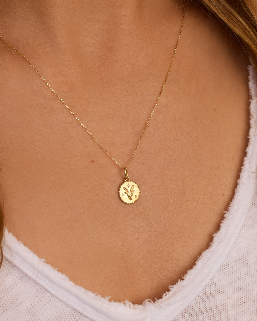 Diamond Zodiac Coin Charm || option::14k Solid Gold, Capricorn