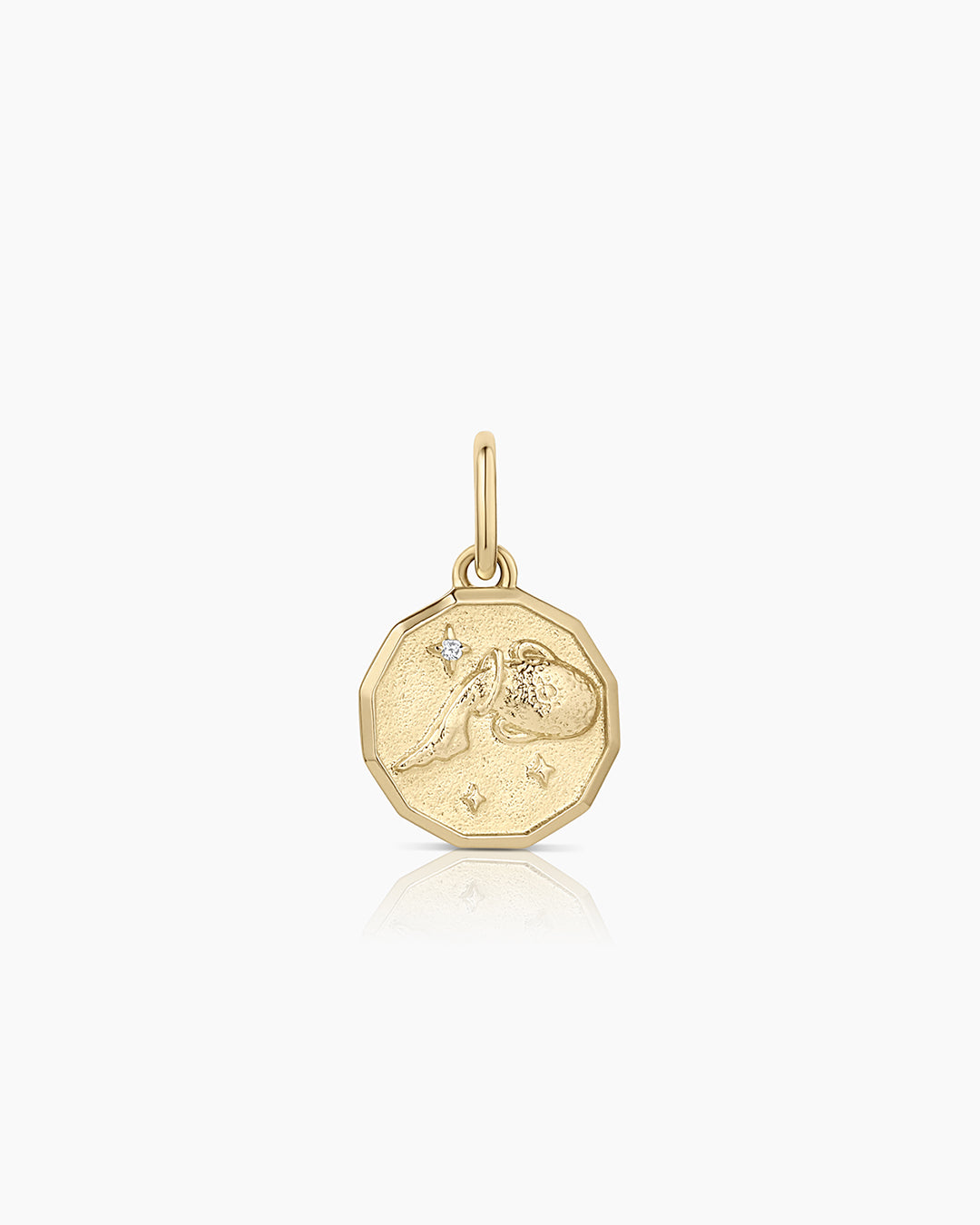 Diamond Zodiac Coin Charm || option::14k Solid Gold, Aquarius