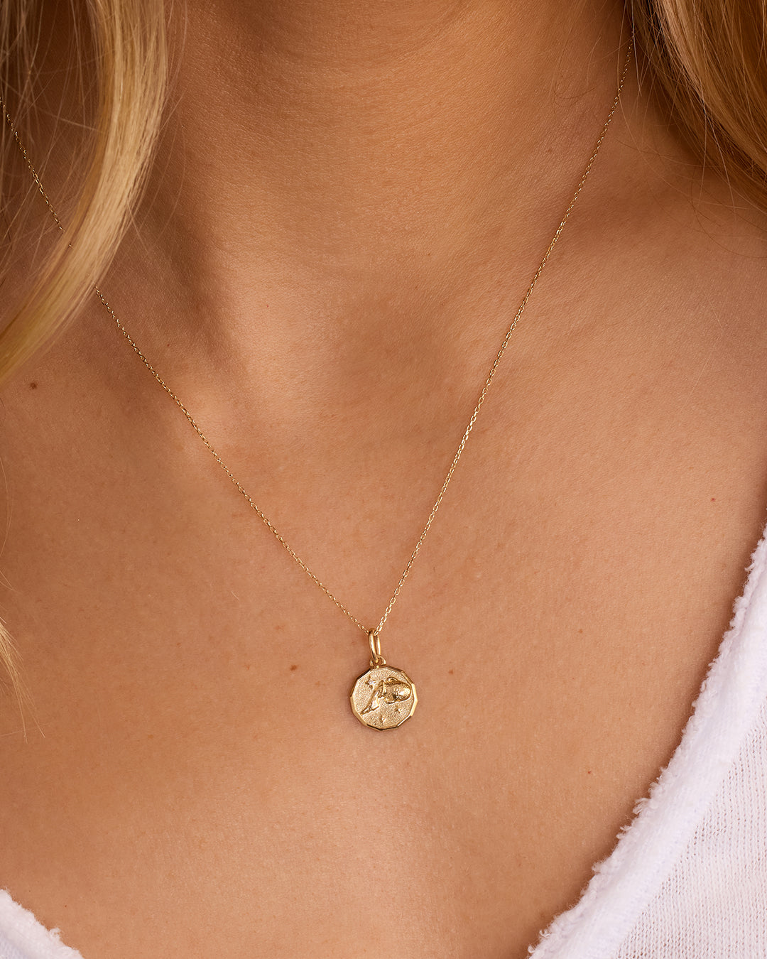 Diamond Zodiac Coin Charm || option::14k Solid Gold, Aquarius